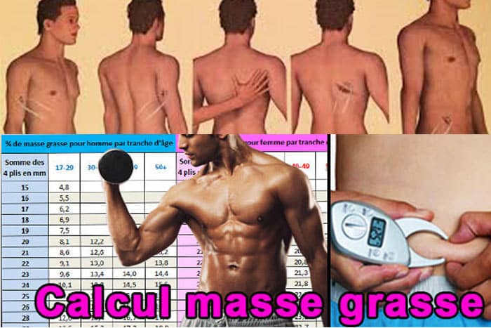 Masse musculaire et masse graisseuse