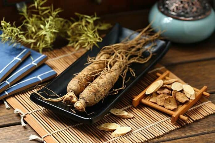 bienfaits ginseng santé