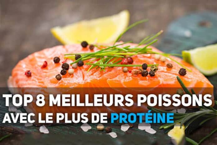 poisson proteines